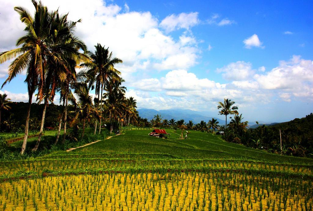 Puri Alam Bali Hotel Munduk Екстериор снимка