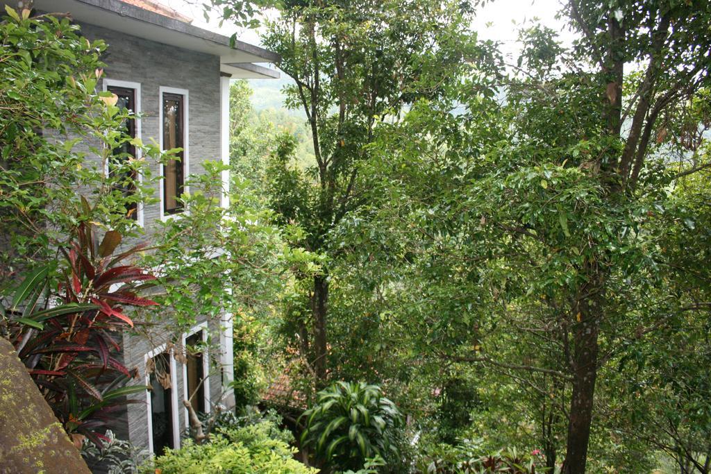 Puri Alam Bali Hotel Munduk Екстериор снимка