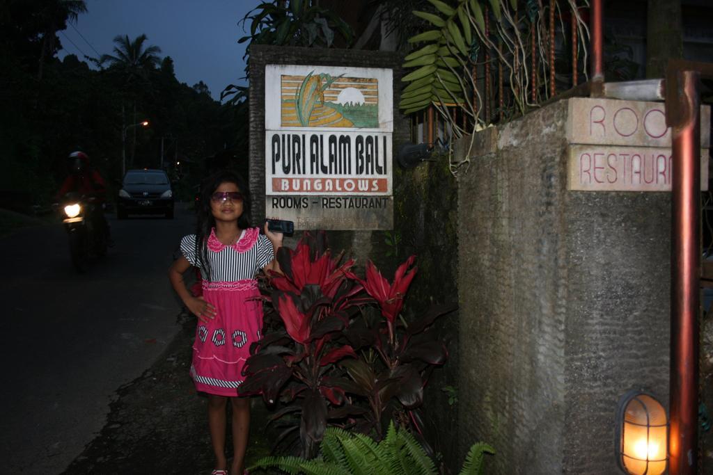 Puri Alam Bali Hotel Munduk Екстериор снимка